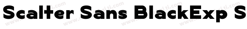 Scalter Sans BlackExp Slant字体转换